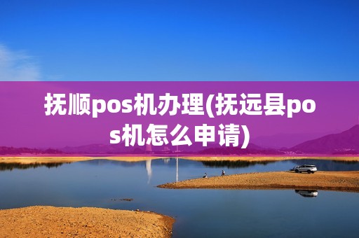 抚顺pos机办理(抚远县pos机怎么申请)