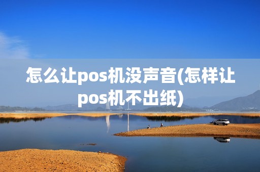 怎么让pos机没声音(怎样让pos机不出纸)