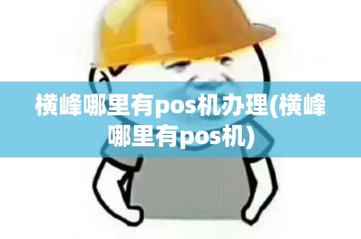 横峰哪里有pos机办理(横峰哪里有pos机)