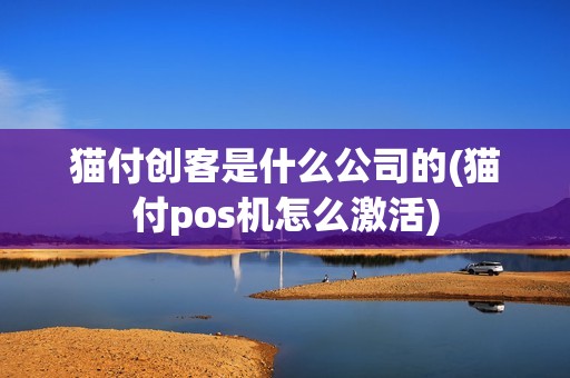 猫付创客是什么公司的(猫付pos机怎么激活)