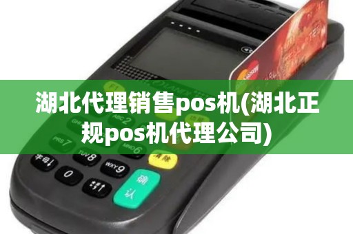 湖北代理销售pos机(湖北正规pos机代理公司)