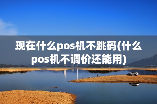 现在什么pos机不跳码(什么pos机不调价还能用)