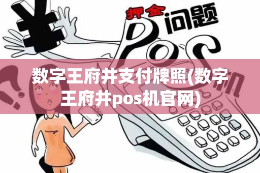 数字王府井支付牌照(数字王府井pos机官网)