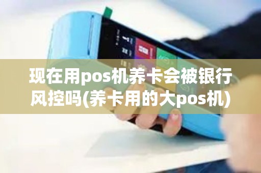 现在用pos机养卡会被银行风控吗(养卡用的大pos机)