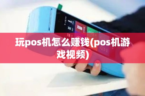 玩pos机怎么赚钱(pos机游戏视频)
