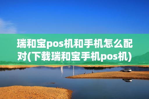 瑞和宝pos机和手机怎么配对(下载瑞和宝手机pos机)
