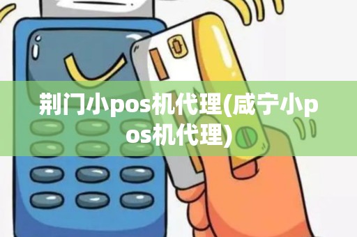 荆门小pos机代理(咸宁小pos机代理)
