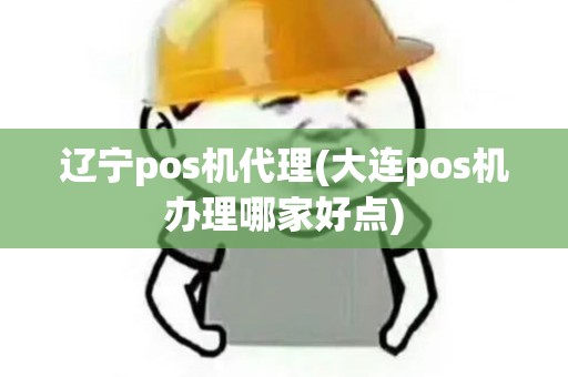 辽宁pos机代理(大连pos机办理哪家好点)