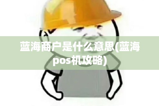蓝海商户是什么意思(蓝海pos机攻略)