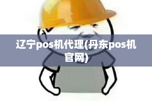 辽宁pos机代理(丹东pos机官网)