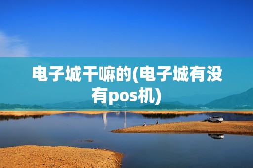 电子城干嘛的(电子城有没有pos机)