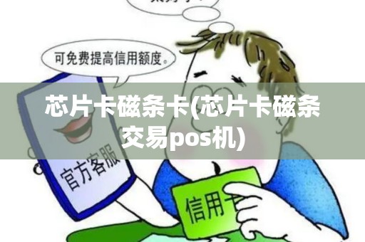 芯片卡磁条卡(芯片卡磁条交易pos机)