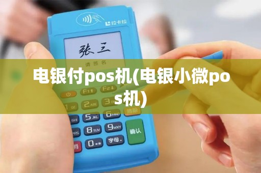 电银付pos机(电银小微pos机)