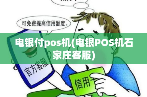 电银付pos机(电银POS机石家庄客服)