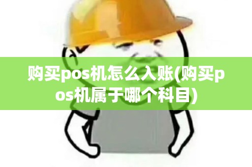 购买pos机怎么入账(购买pos机属于哪个科目)