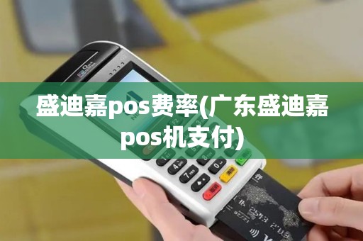 盛迪嘉pos费率(广东盛迪嘉pos机支付)