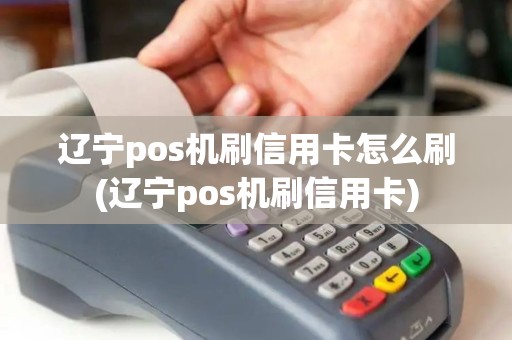 辽宁pos机刷信用卡怎么刷(辽宁pos机刷信用卡)