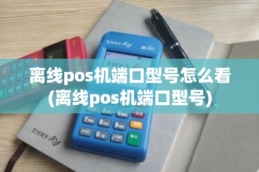 离线pos机端口型号怎么看(离线pos机端口型号)