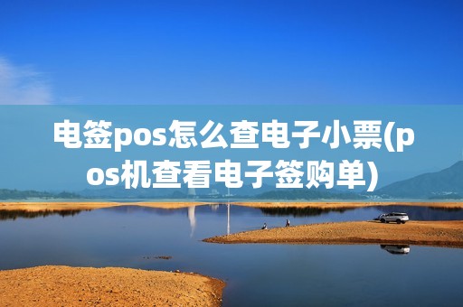 电签pos怎么查电子小票(pos机查看电子签购单)