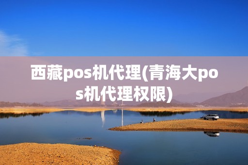 西藏pos机代理(青海大pos机代理权限)