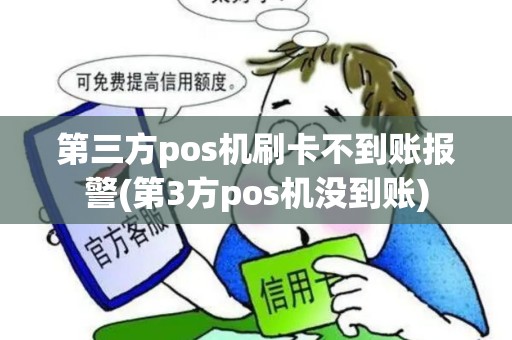 第三方pos机刷卡不到账报警(第3方pos机没到账)