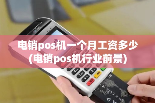 电销pos机一个月工资多少(电销pos机行业前景)