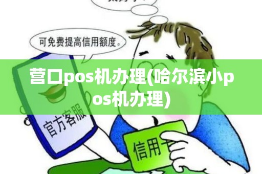 营口pos机办理(哈尔滨小pos机办理)