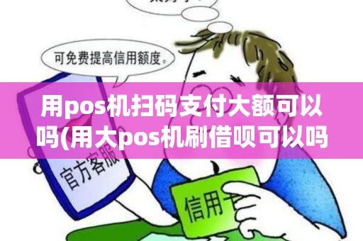 用pos机扫码支付大额可以吗(用大pos机刷借呗可以吗)