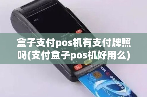 盒子支付pos机有支付牌照吗(支付盒子pos机好用么)