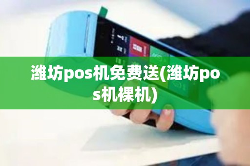 潍坊pos机免费送(潍坊pos机裸机)