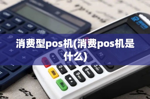 消费型pos机(消费pos机是什么)