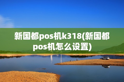 新国都pos机k318(新国都pos机怎么设置)