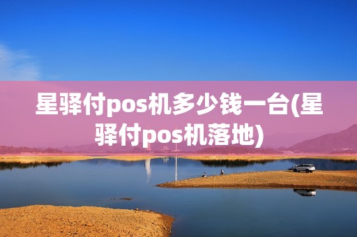 星驿付pos机多少钱一台(星驿付pos机落地)