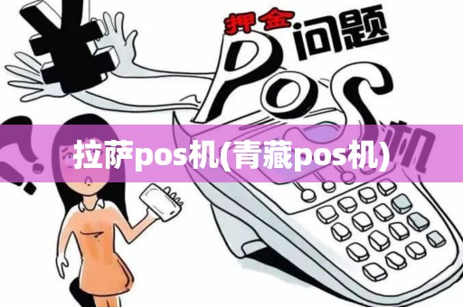 拉萨pos机(青藏pos机)