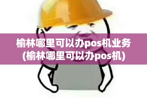 榆林哪里可以办pos机业务(榆林哪里可以办pos机)