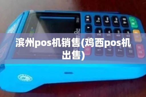 滨州pos机销售(鸡西pos机出售)