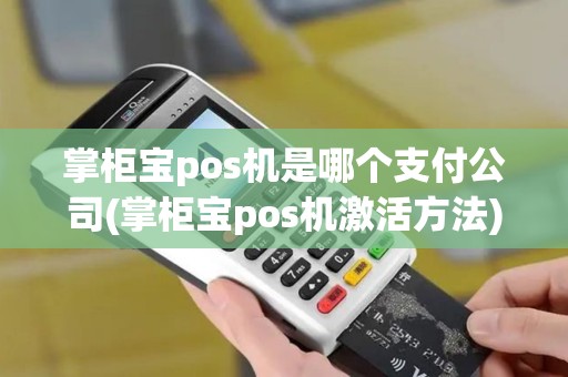 掌柜宝pos机是哪个支付公司(掌柜宝pos机激活方法)
