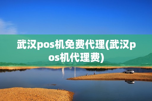 武汉pos机免费代理(武汉pos机代理费)