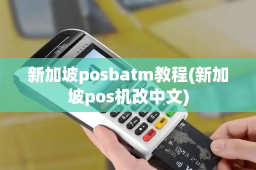 新加坡posbatm教程(新加坡pos机改中文)