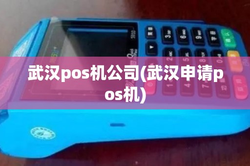 武汉pos机公司(武汉申请pos机)