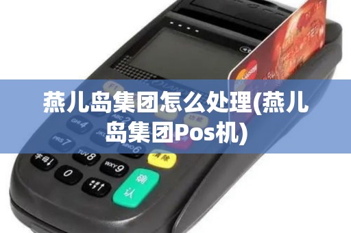 燕儿岛集团怎么处理(燕儿岛集团Pos机)