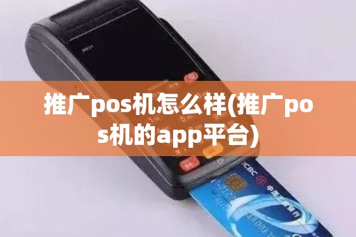 推广pos机怎么样(推广pos机的app平台)