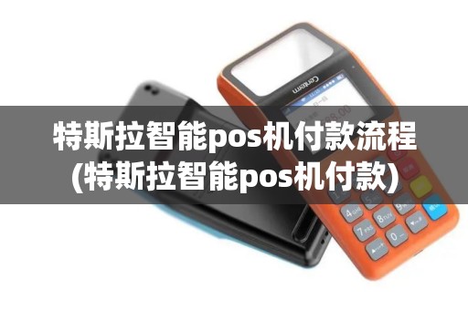 特斯拉智能pos机付款流程(特斯拉智能pos机付款)