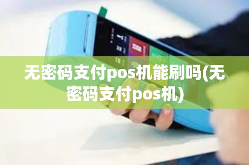 无密码支付pos机能刷吗(无密码支付pos机)