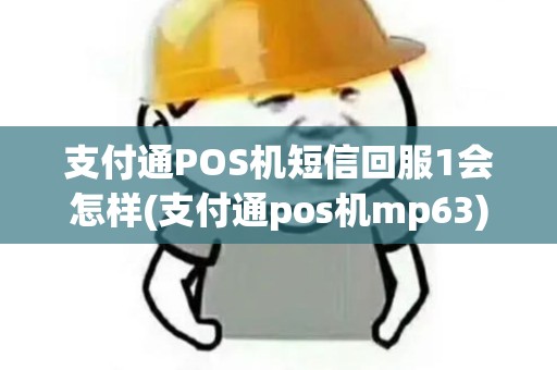 支付通POS机短信回服1会怎样(支付通pos机mp63)