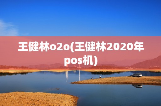 王健林o2o(王健林2020年pos机)