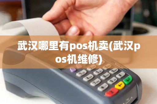 武汉哪里有pos机卖(武汉pos机维修)