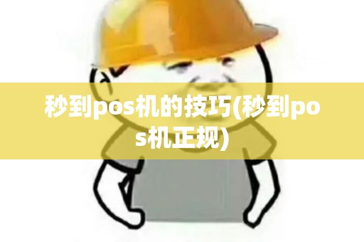 秒到pos机的技巧(秒到pos机正规)
