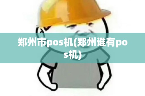 郑州市pos机(郑州谁有pos机)