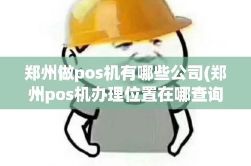 郑州做pos机有哪些公司(郑州pos机办理位置在哪查询)